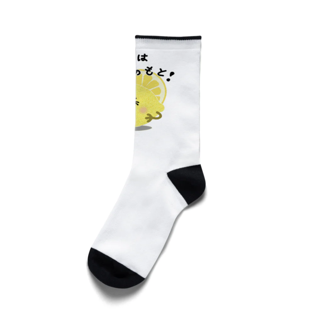 MZグラフィックスのレモン　すっぱいはせいこうのもと　ロゴTシャツ Socks