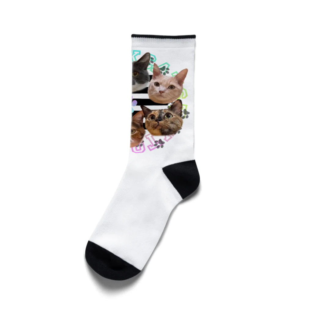 くぅTikTok猫部のTikTok猫部６にゃんソックス Socks