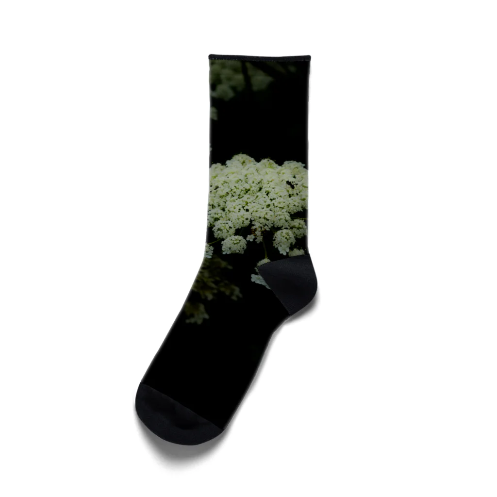 bouquetie_322のlace flour Socks