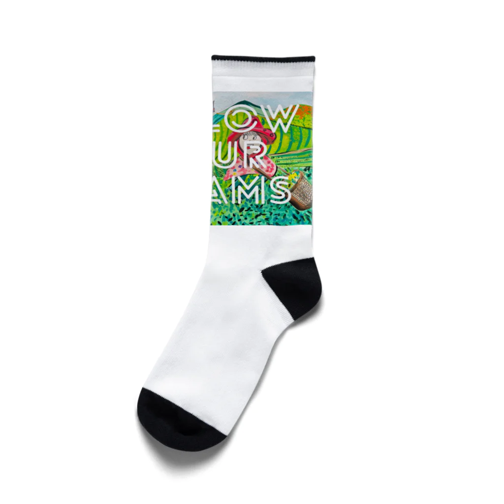 GASCA ★ FOLLOW YOUR DREAMS ★ ==SUPPORT THE YOUNG TALENTS==の【夏】GASCA Winner Series Socks