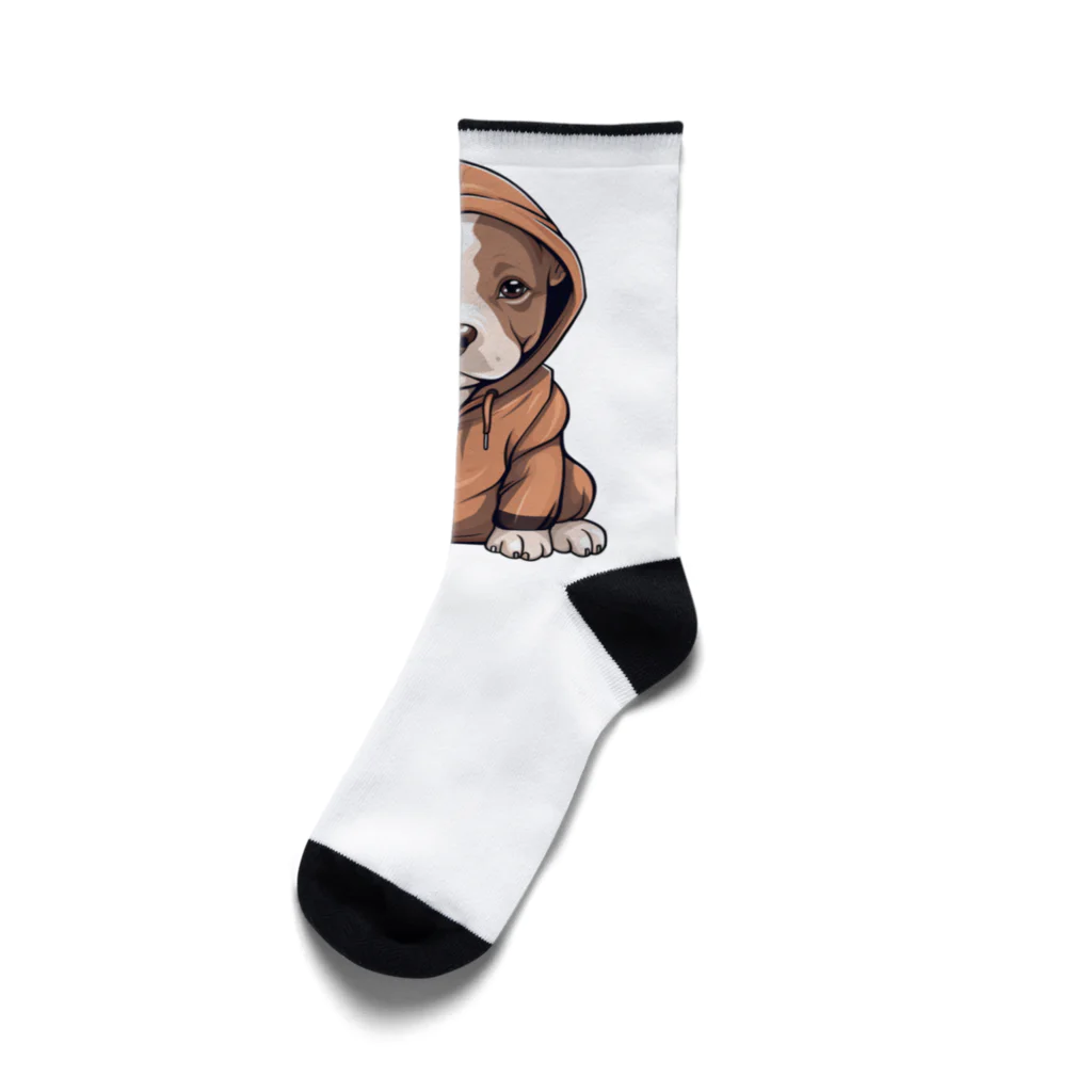 Vasetti_pressのパーカーを着ているピットブル Socks