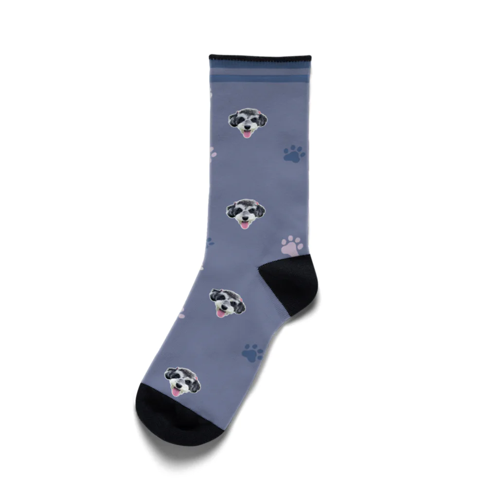 floppybiboのシュナウザー犬の靴下(紫) Socks