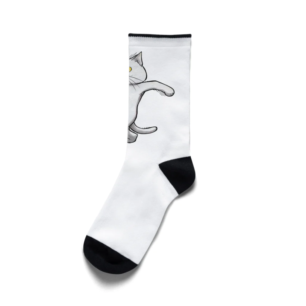 TAKE-TONのさんぽねこ Socks