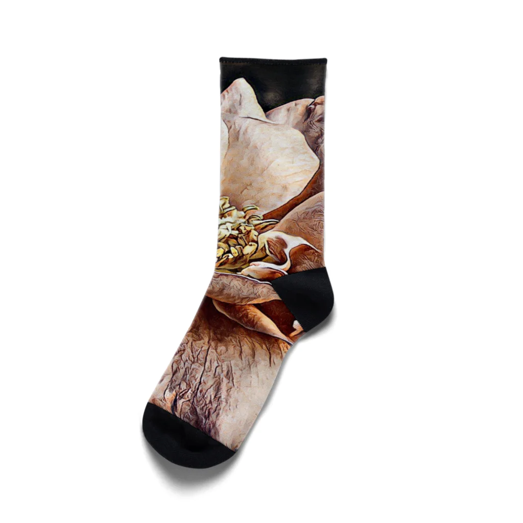 Anna’s galleryのElegant Rose Socks