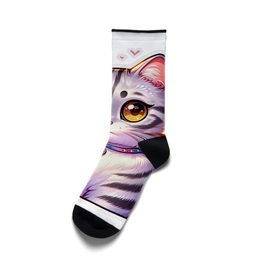 Stellaのアメショーのメイちゃん　キュート猫シリーズ Socks