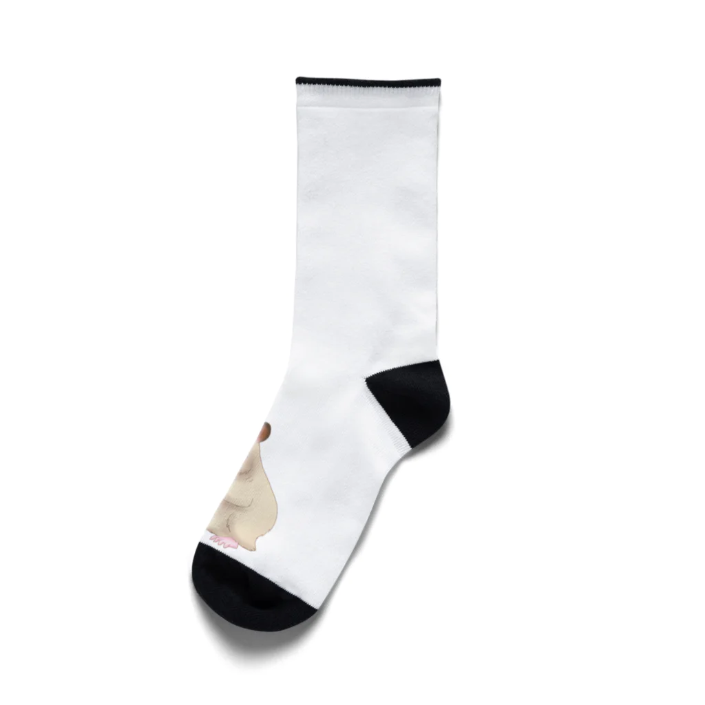 AriyamaSayuriの今日ものんびり。きんハムちゃん Socks