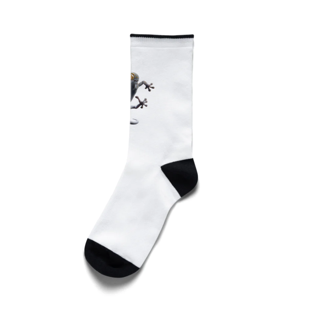 WildWondersのTane Socks