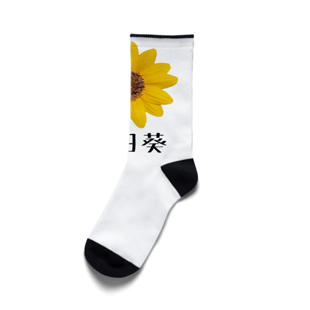 大阪下町デザイン製作所の『向日葵』グッズ Socks