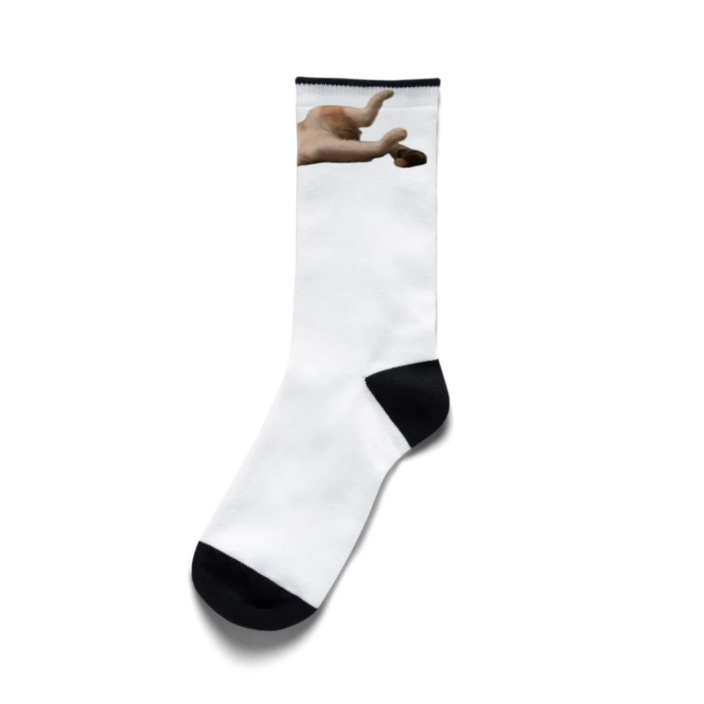 サカルヤの伸びるキョフテ Socks