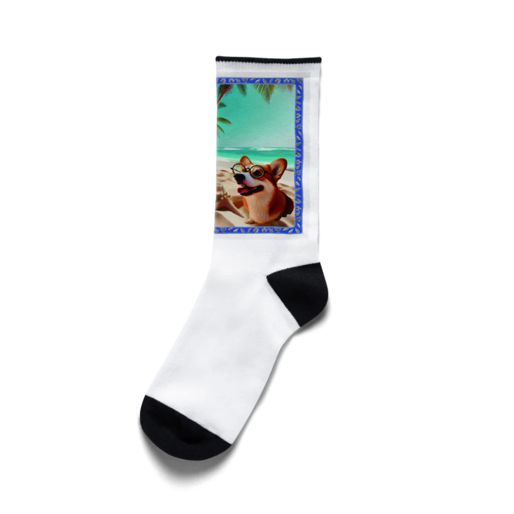 二代目　旬吉。の犬×サーフボード Socks