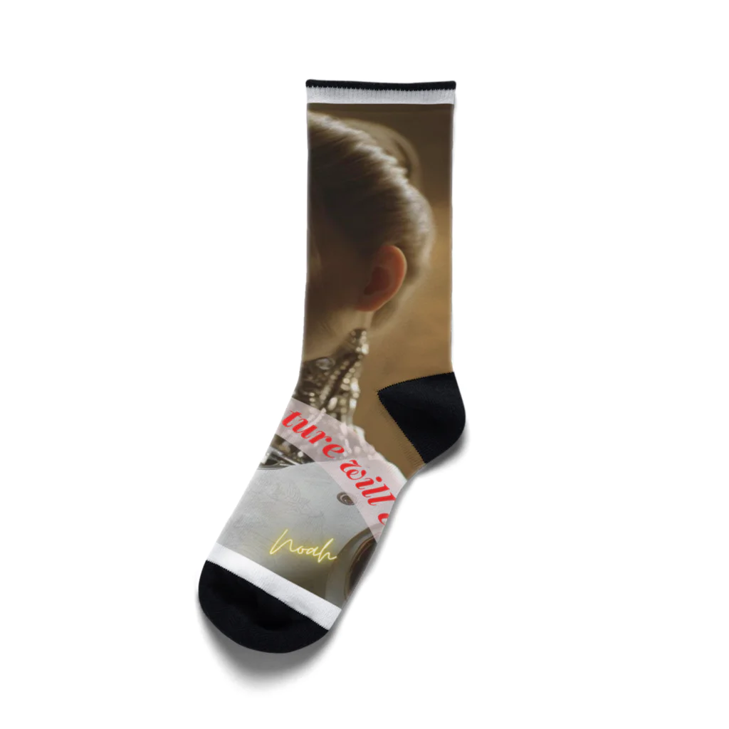 NaturalCanvasのSingularity Socks