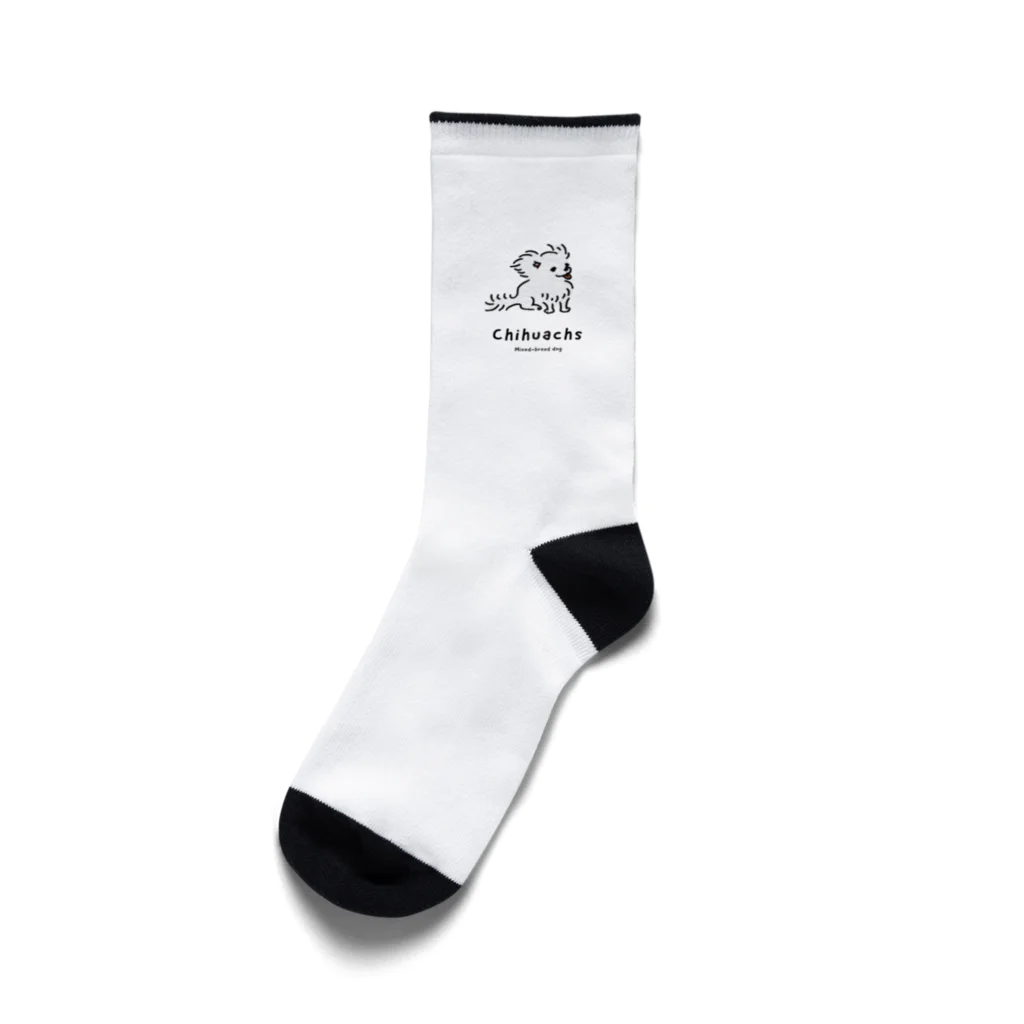 チワックスのかいぬしのチワックス Socks