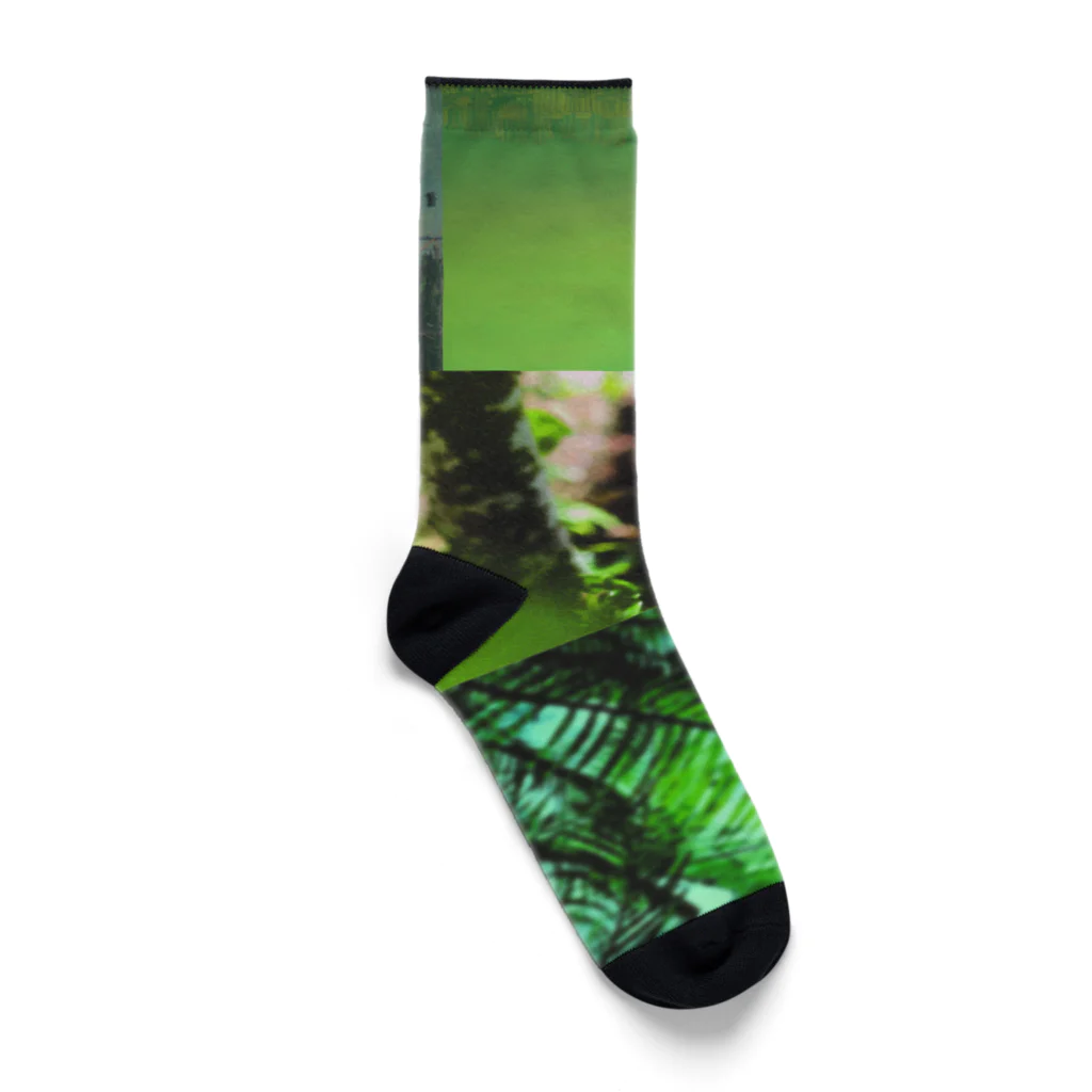 HIPPOのGREEN TAN Socks