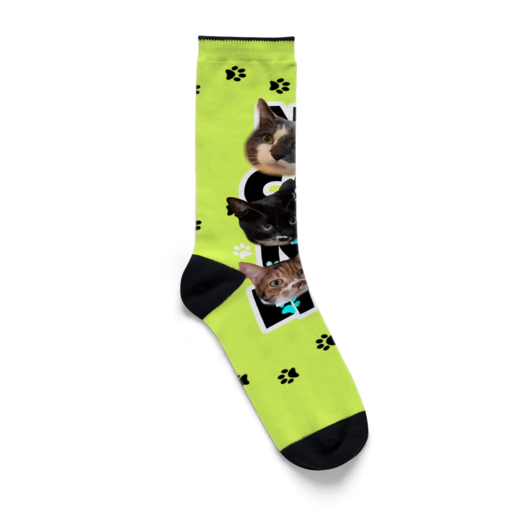 くぅTikTok猫部のTikTok猫部肉球柄ソックス Socks