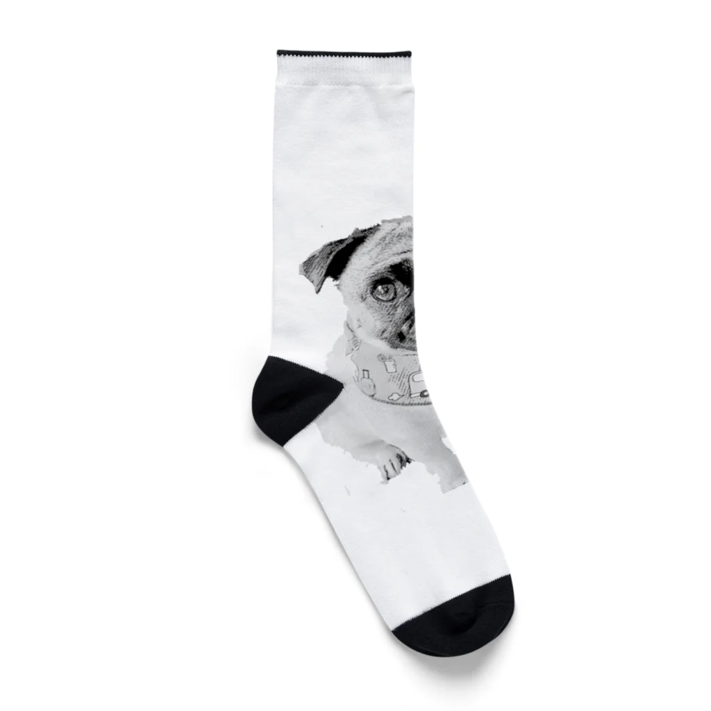 ペニスソックス 