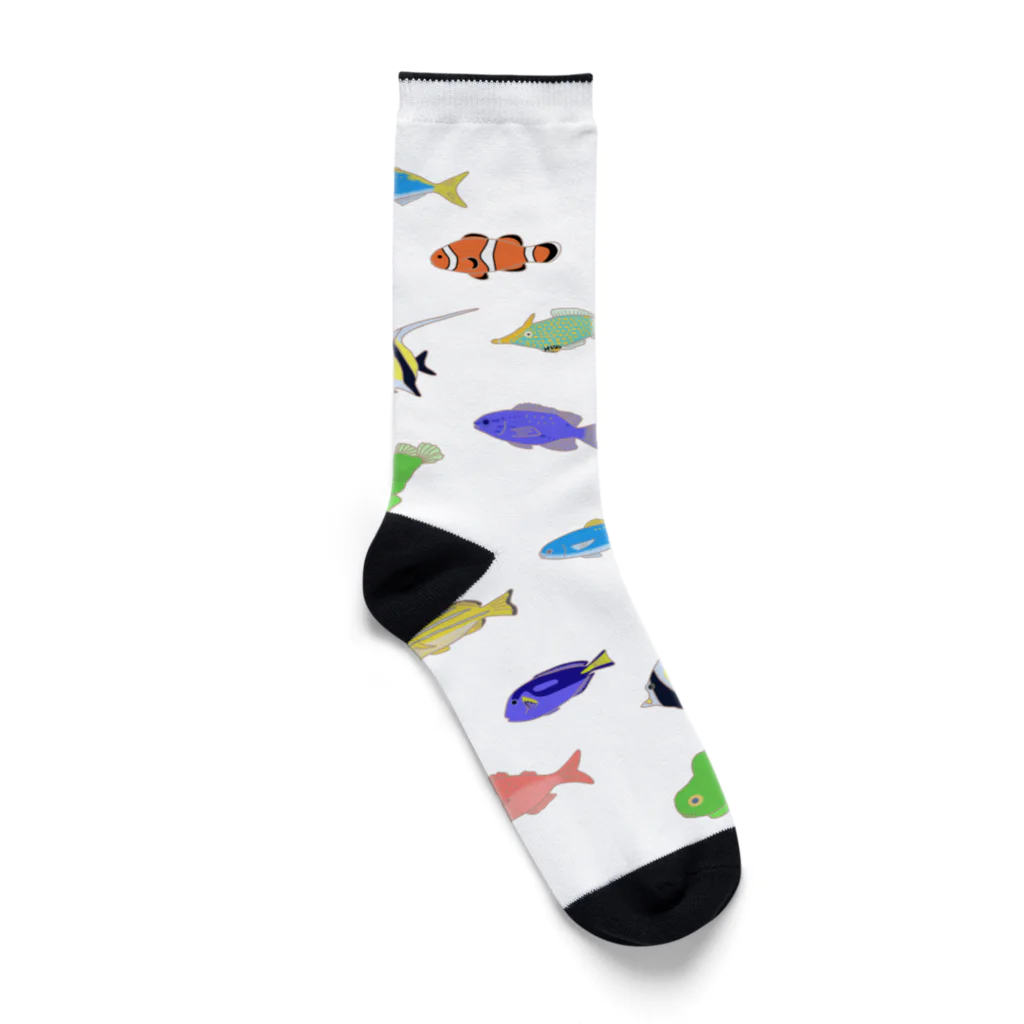 ハナのお店のカラフルな魚たち Socks