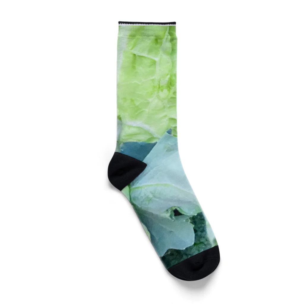 隙間の野菜 Socks