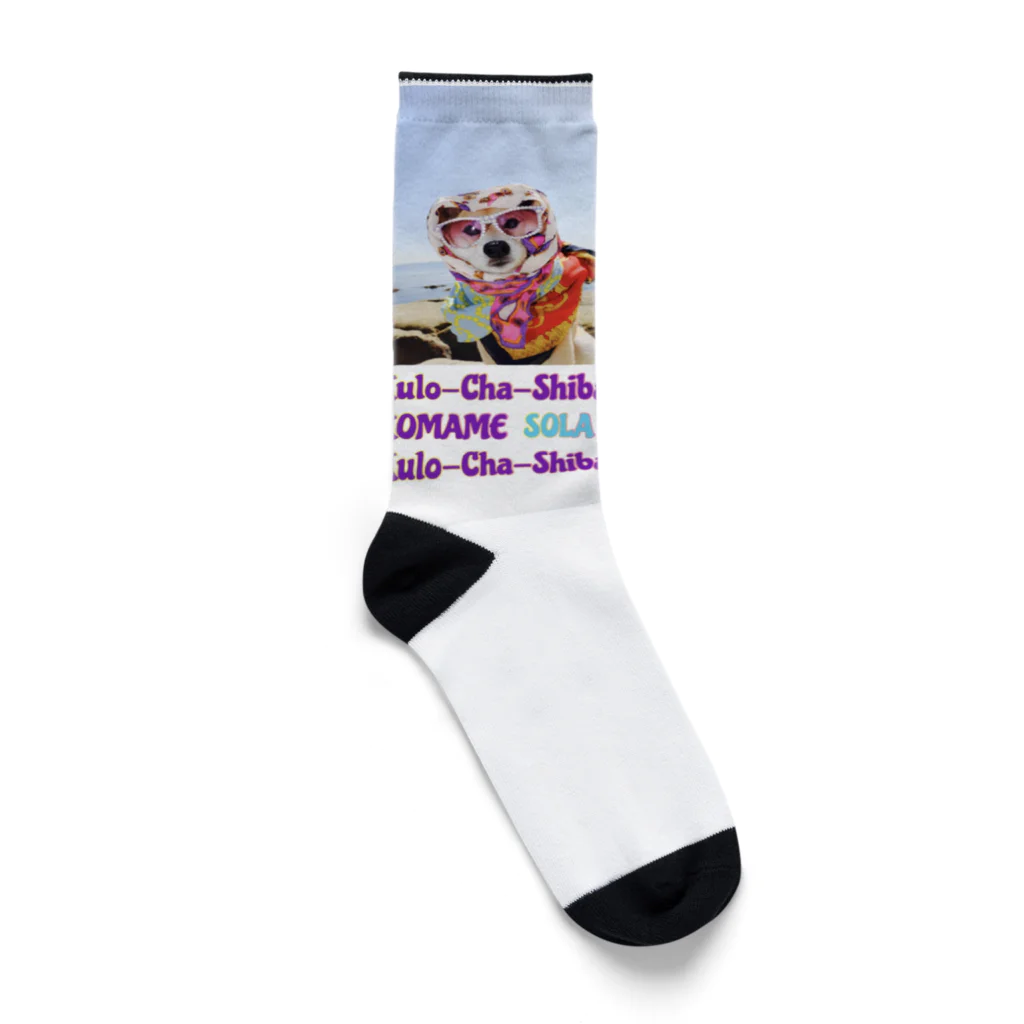 Sola-World の豆空　summer collection Socks