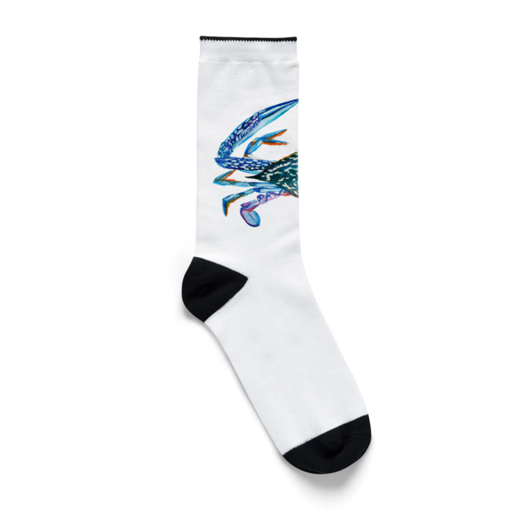 segasworksのガザミ Socks