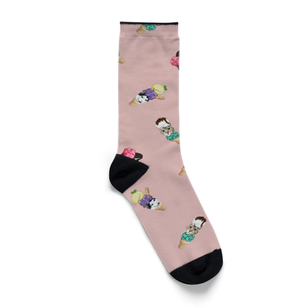 みきぞーん｜保護猫 ミッキー画伯と肉球とおともだちのumi sora riku taiga kouga Socks