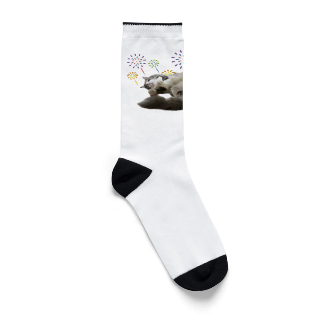 ハチワレ俱楽部のグレーハチワレ君へそ天 Socks