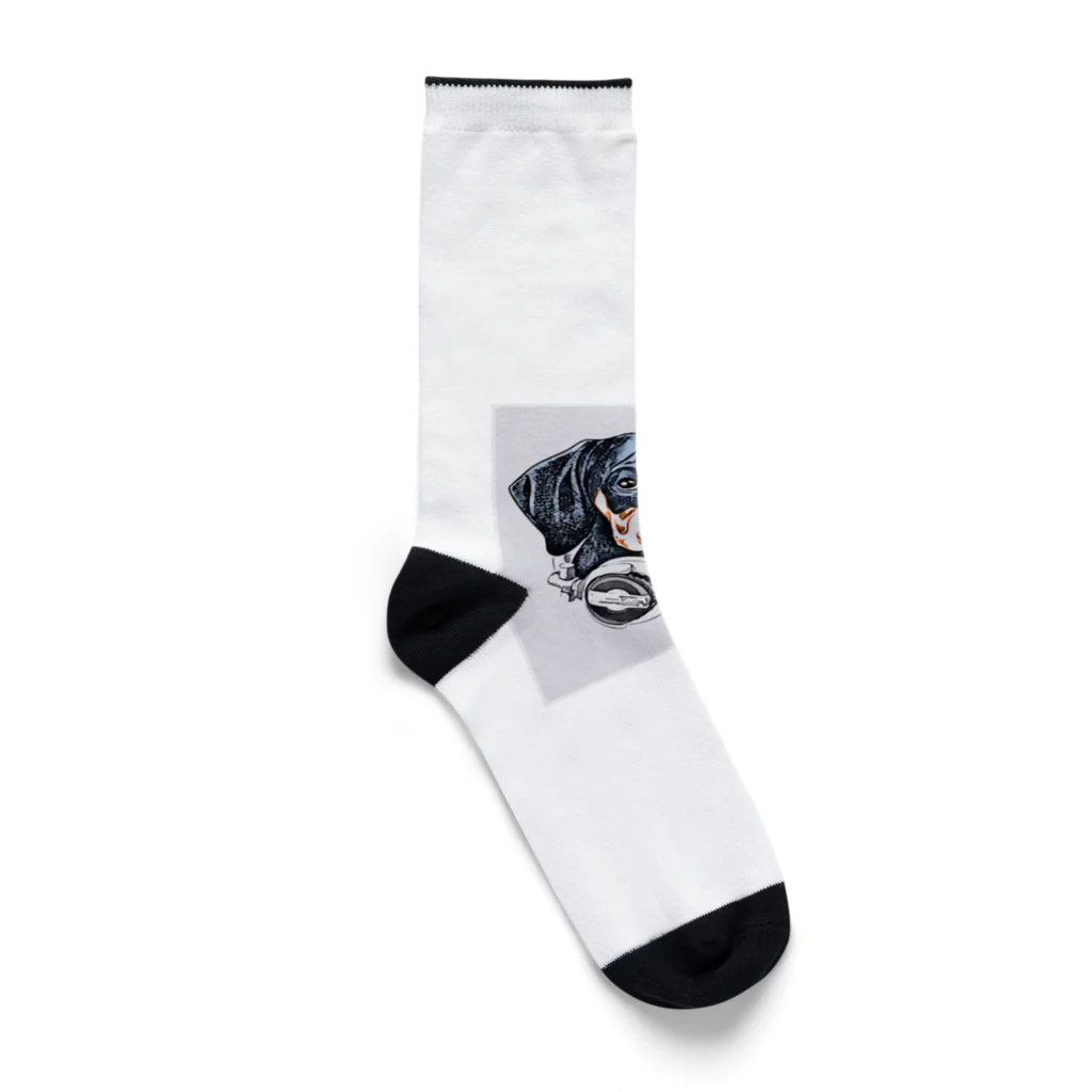 ドッグハウスベティのミュージック・ダックス Socks