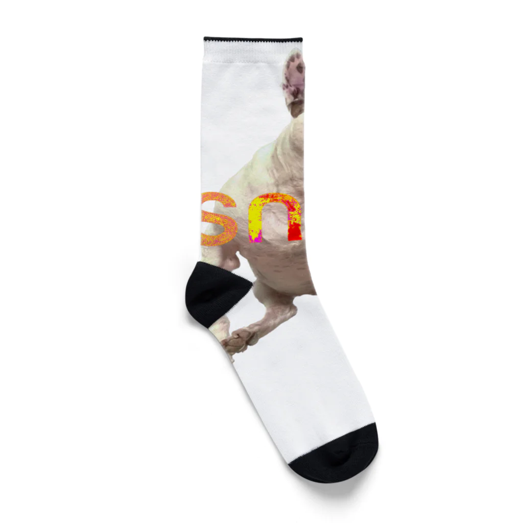 snznのsnzn_BullTerrier Socks