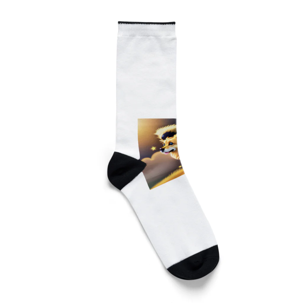 べるべるの星を見てるわんちゃんグッズ Socks