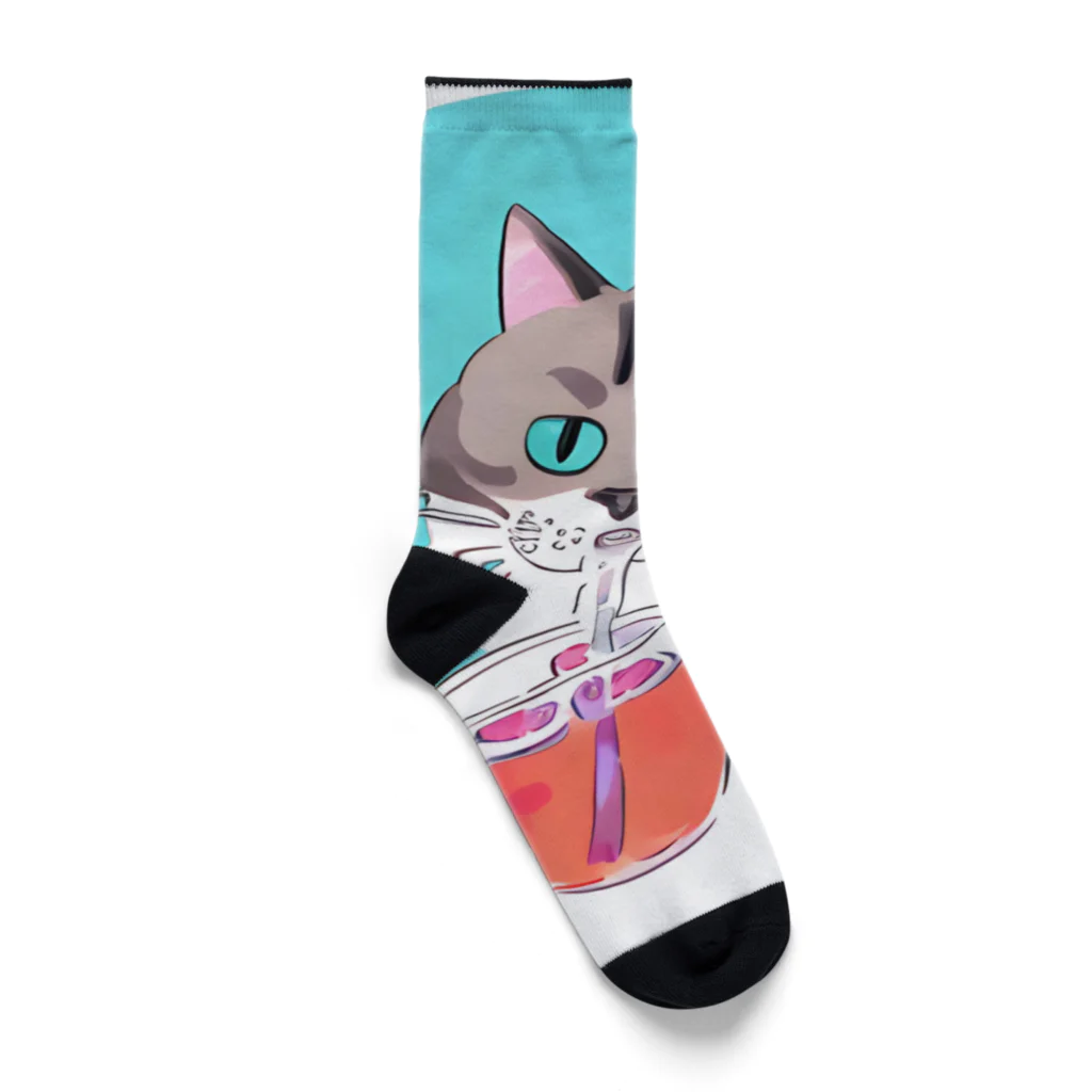 Aeglifeの気ままな野良猫君 Socks