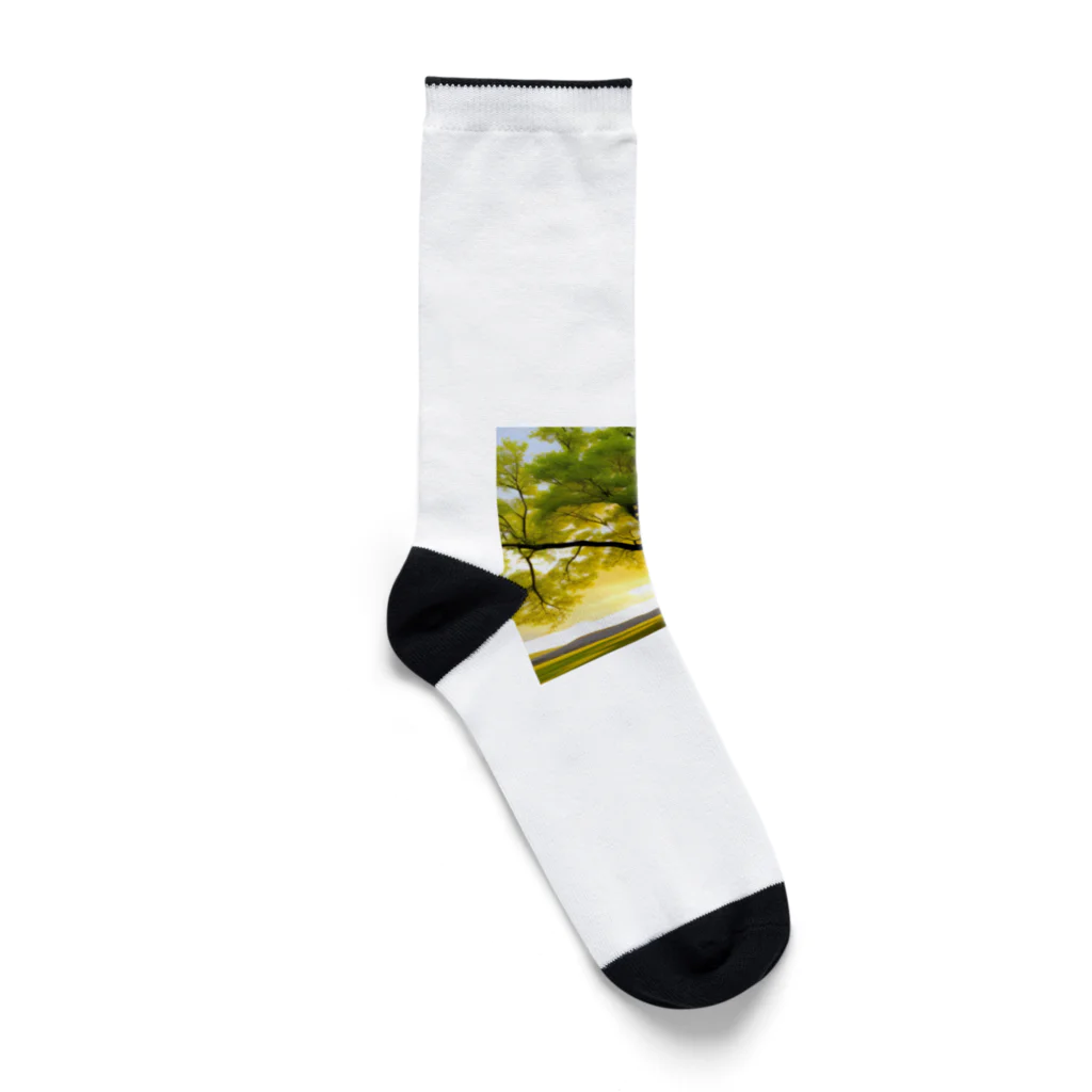 knurinの癒しウッド Socks