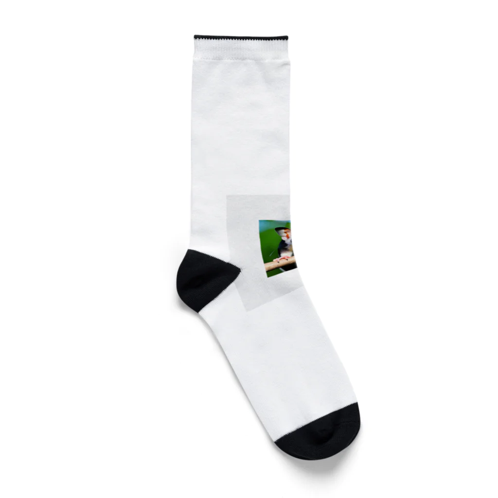 hiro358358のかわいいフクロモモンガ Socks