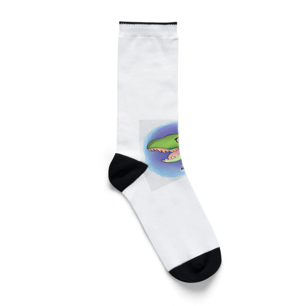 ふぁんたじあのてぃらのん Socks