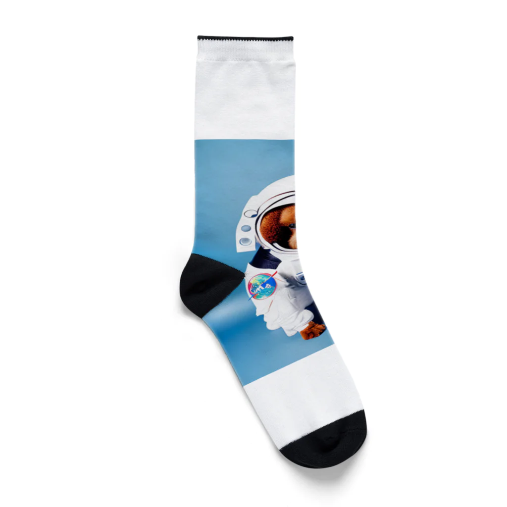 rethelの宇宙に連れてって Socks