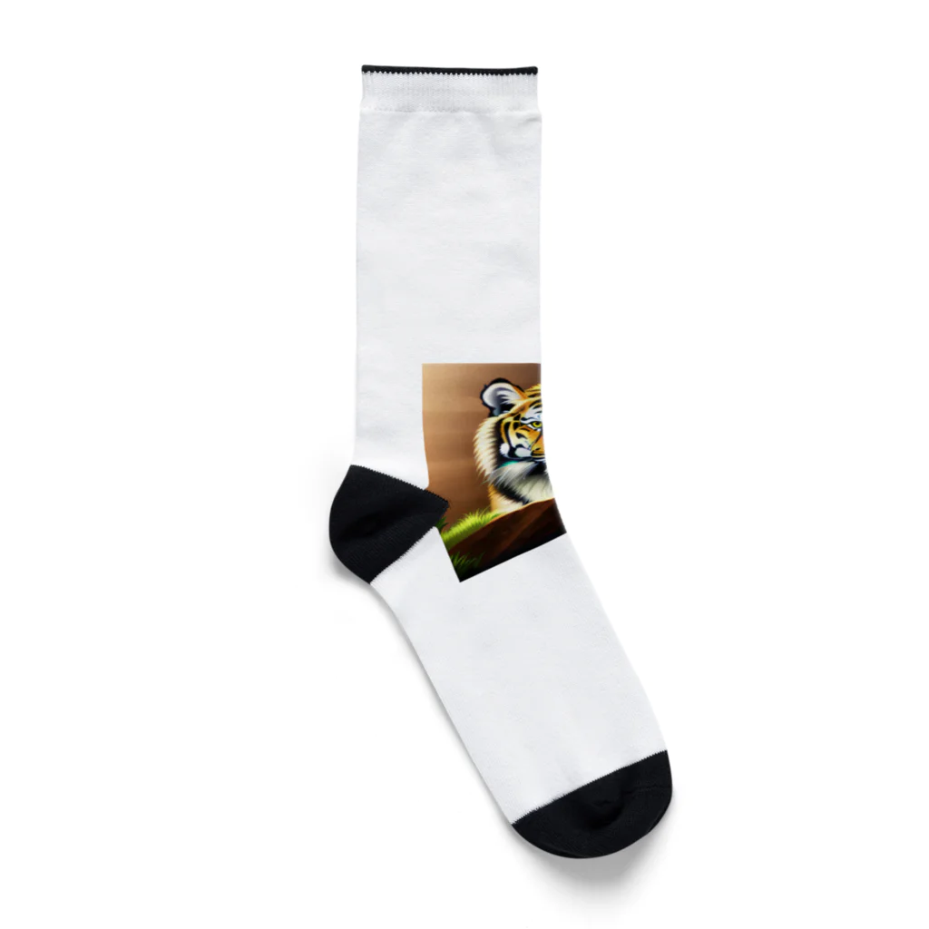 Rodmanの虎虎虎 Socks