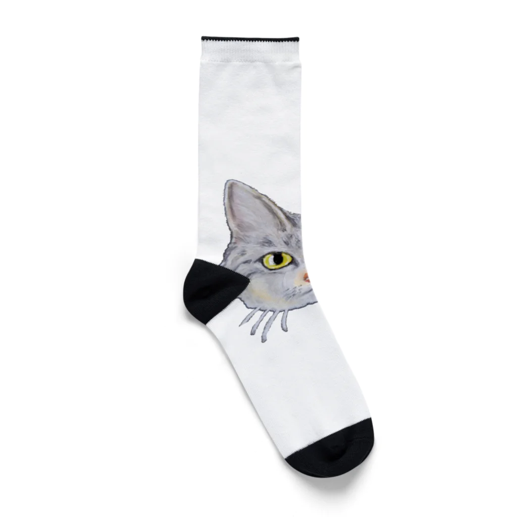 れいにゃん堂&れいにゃあ～と😺のチョークアートのキジトラ猫😸 Socks