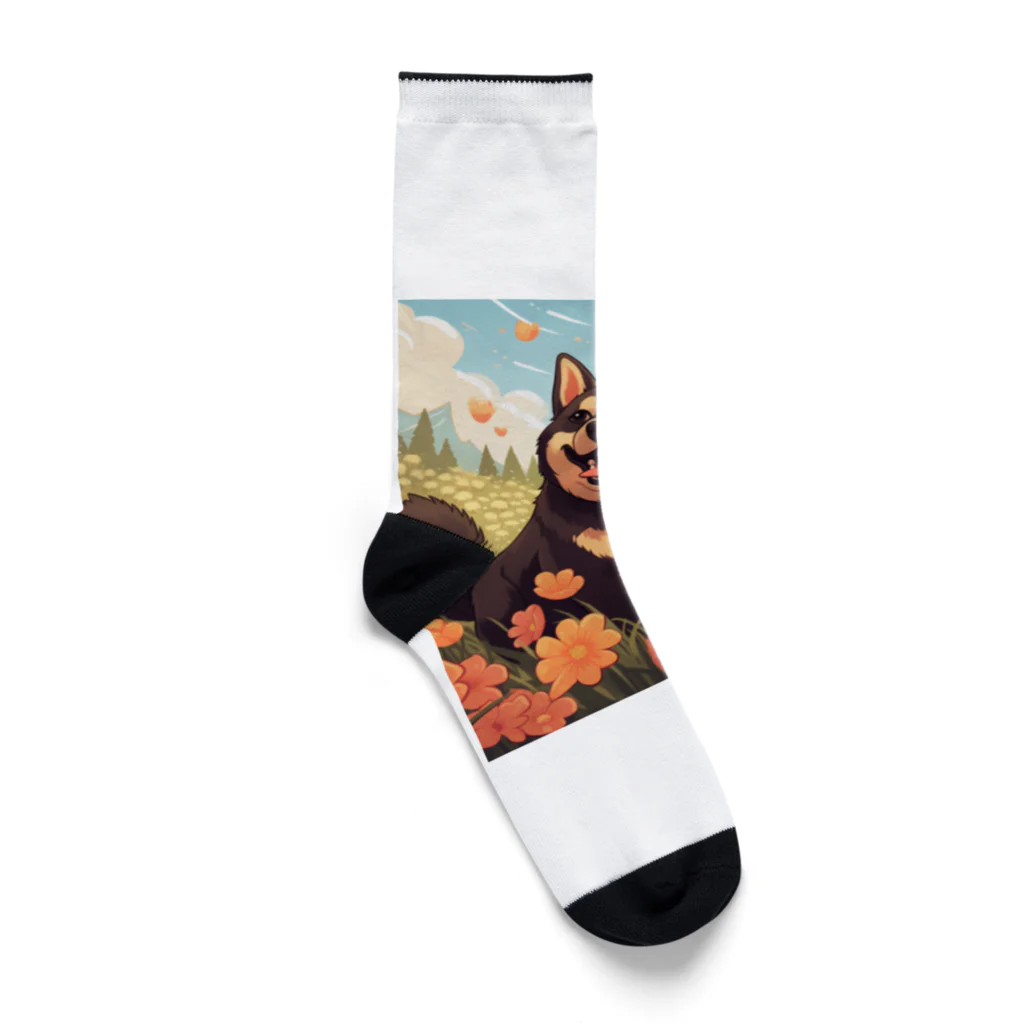 シャオ猫屋の黒柴と花畑 Socks