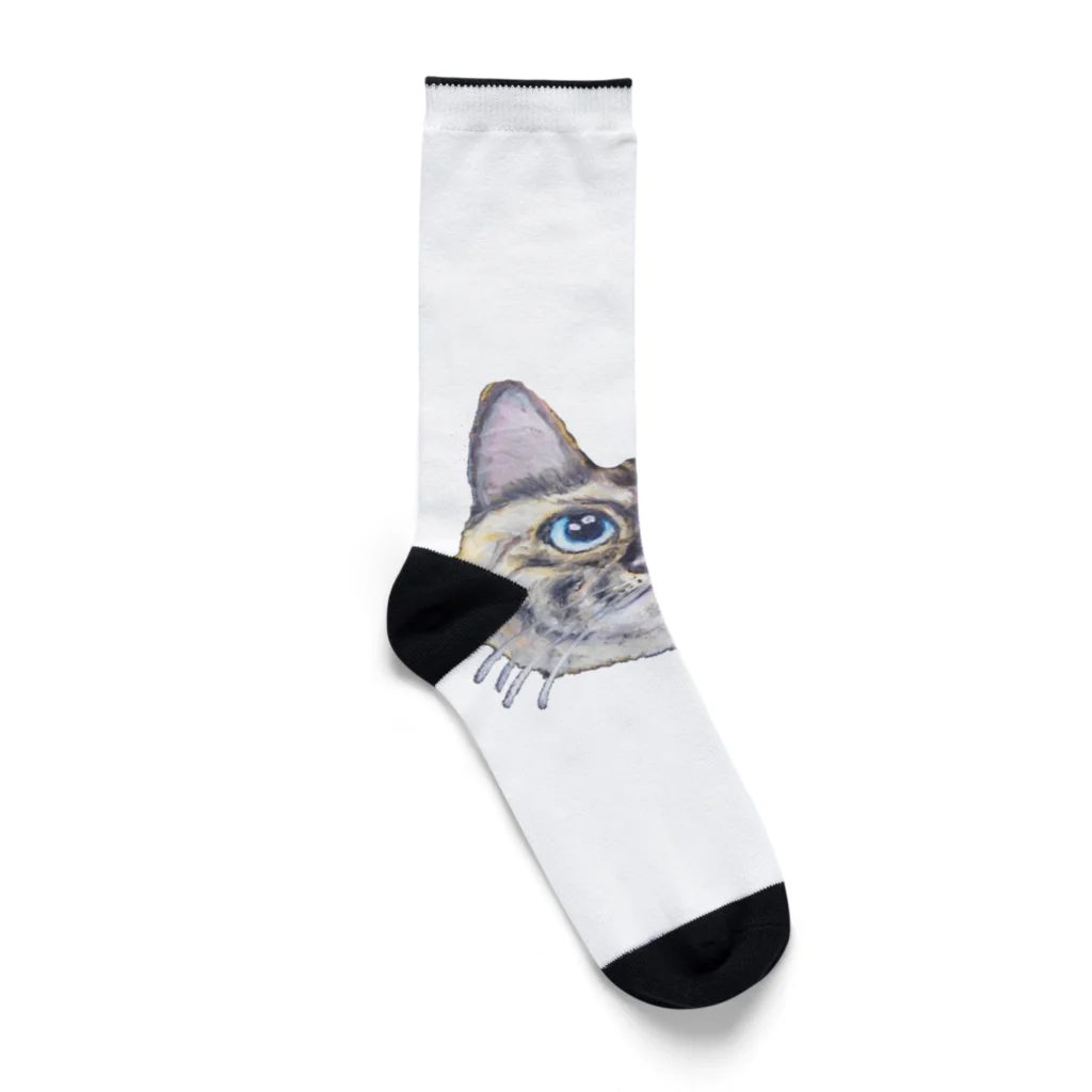 れいにゃん堂&れいにゃあ～と😺のチョークアートの見上げるサビ猫 Socks