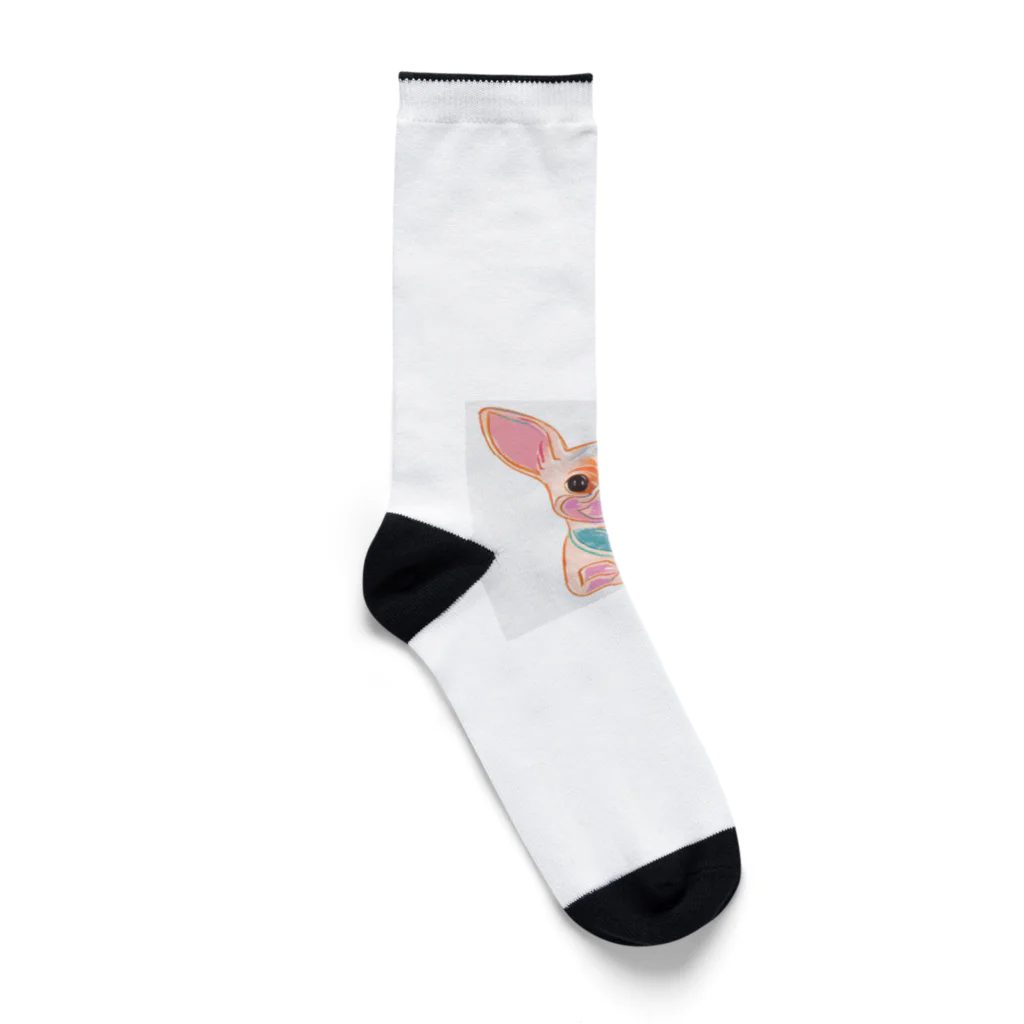 チワワ愛好家ショップの恋におちたチワワの物語 Socks