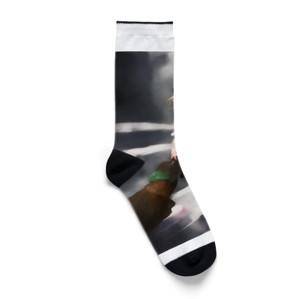 宝虫プロダクションのコゼット 2 Socks