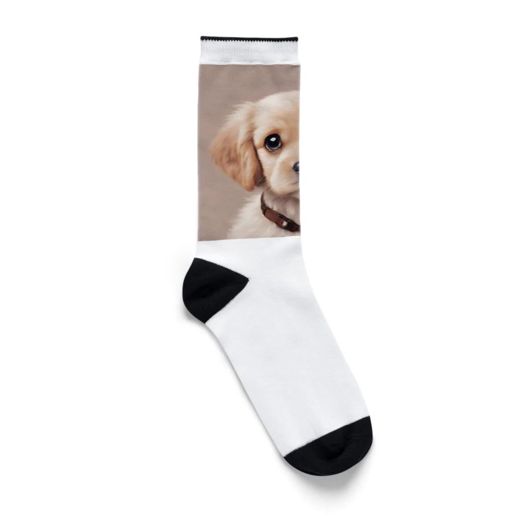 kunkun1048のめちゃカワ犬 Socks