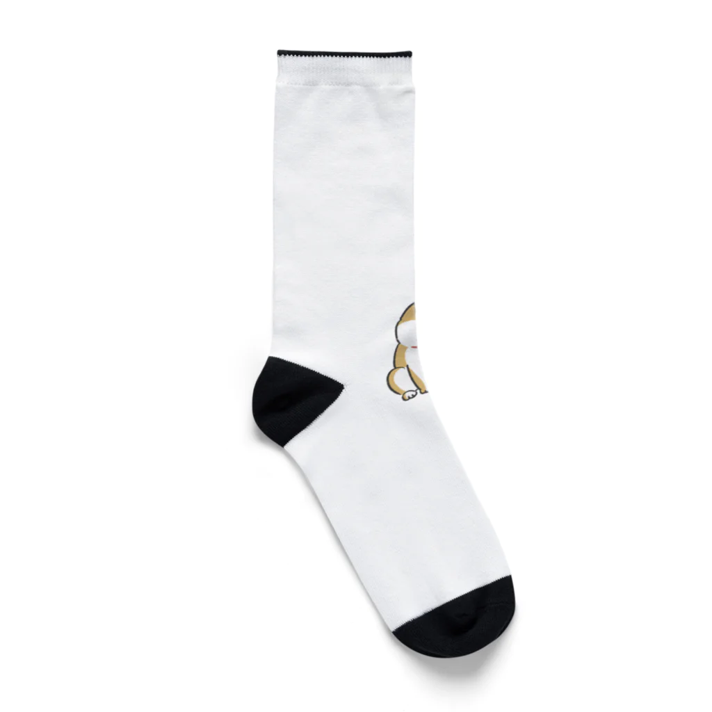 E_Porterのゆる忠犬 Socks