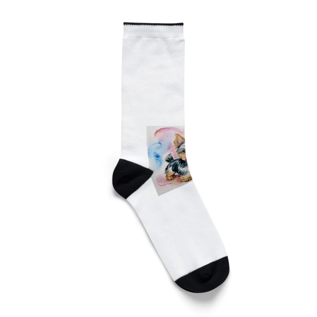 ようこそ　taitaitaro shop へのかわいいヨークシャテリアグッズ Socks