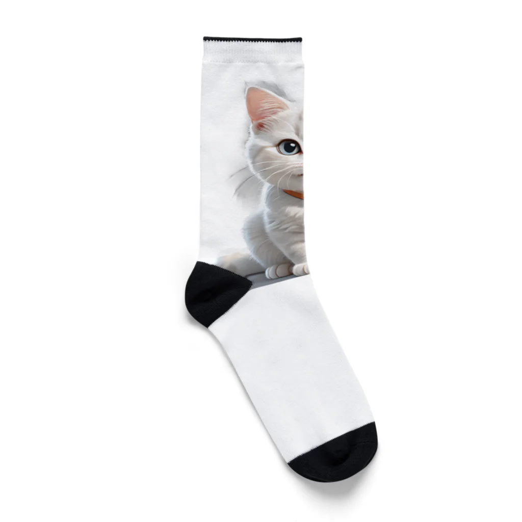 こひさま ショップ - 陽だまりの笑顔のねこのしろたま Socks