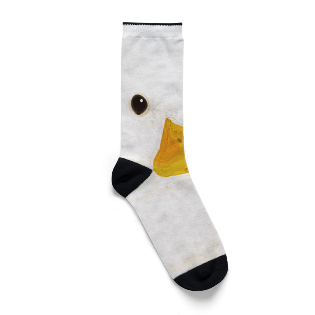 naturaloopのduck face Socks