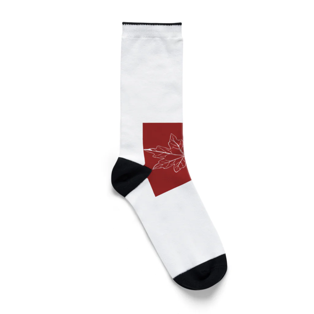 ようこそ　taitaitaro shop への秋限定❗️もみじ柄グッズ登場！ Socks