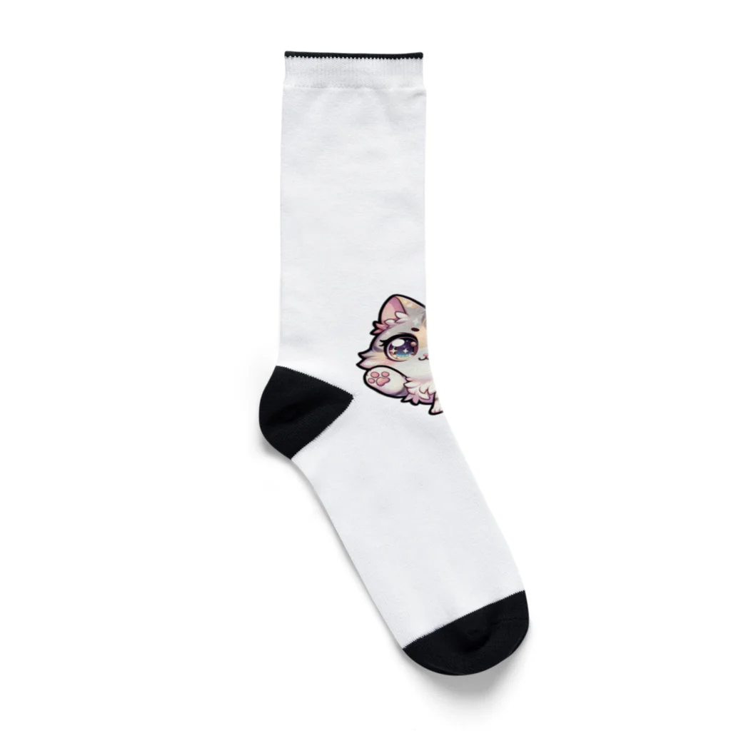 Modern Masteryのちびニャン・パティオ Socks