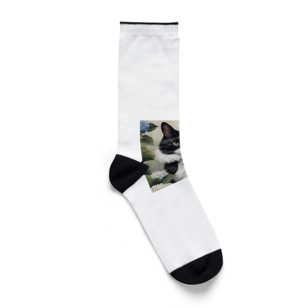 capcat1919のハチワレ猫白黒と紫陽花 Socks