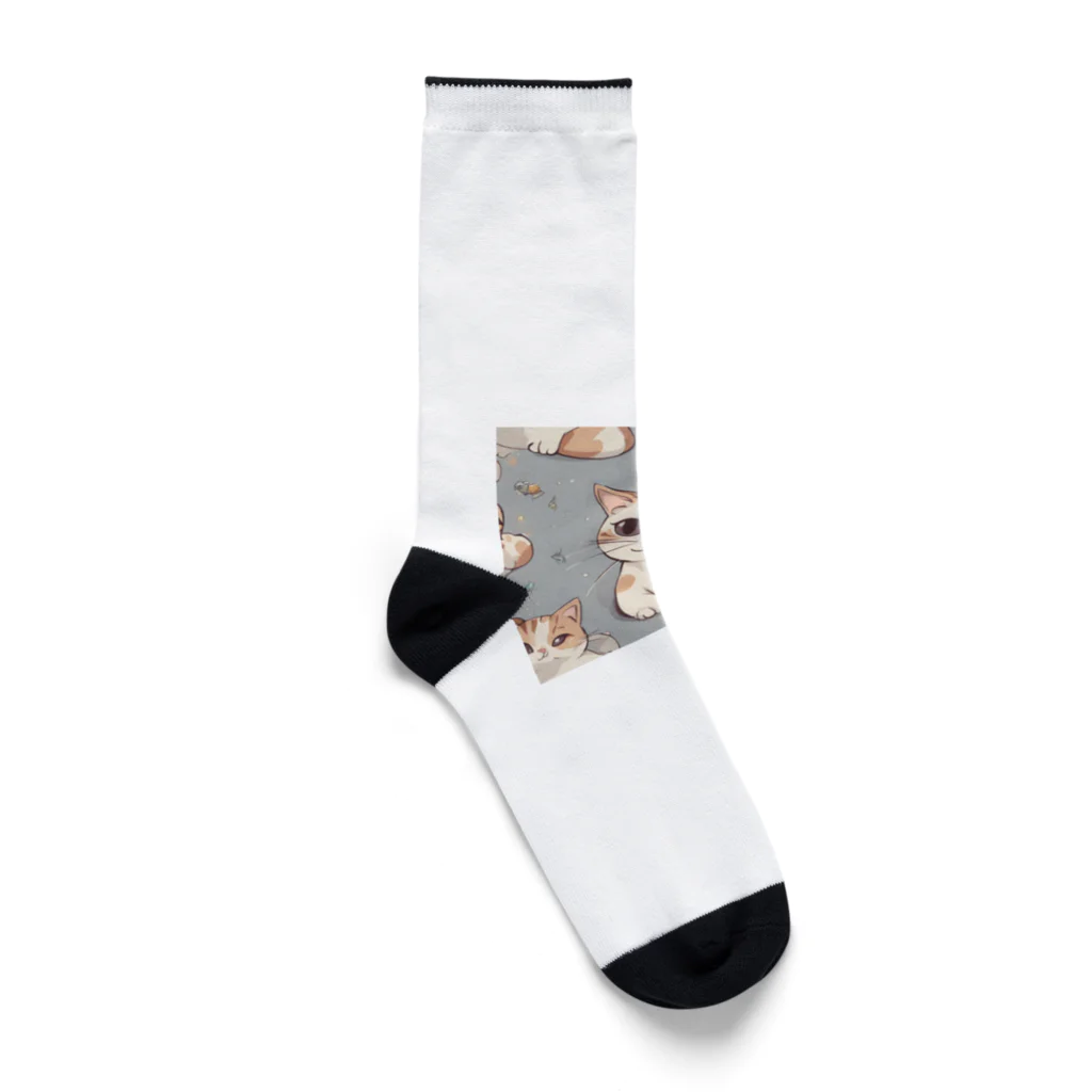 しゃいんぼっくすのねこみけちゃん Socks