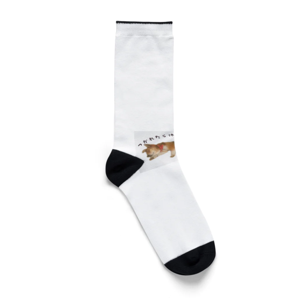 メイちゃんSHOPのメイちゃん/つかれたら休めばいいちゃが！ Socks