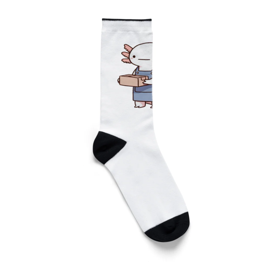 BaRiのウーパールーパーショップ定員 Socks